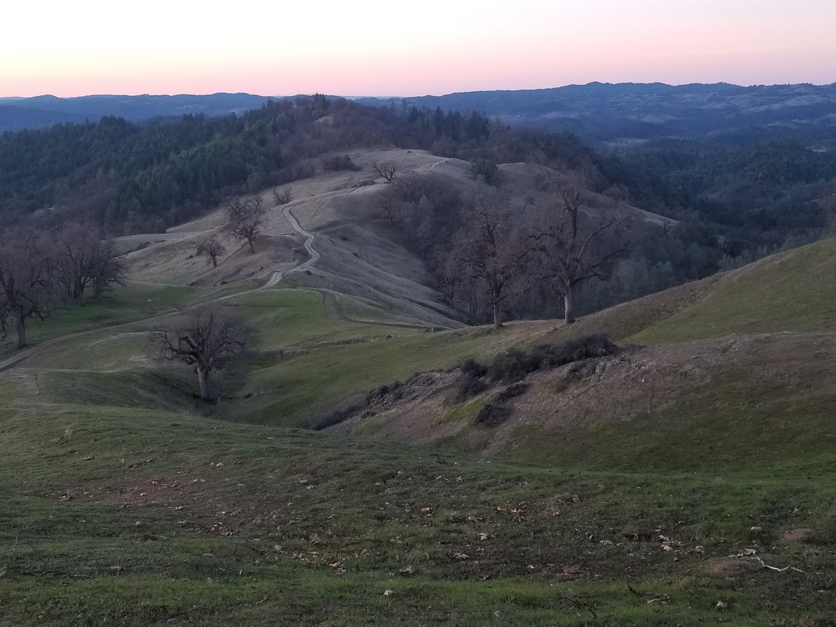 Tule Elk Hunting Ranch