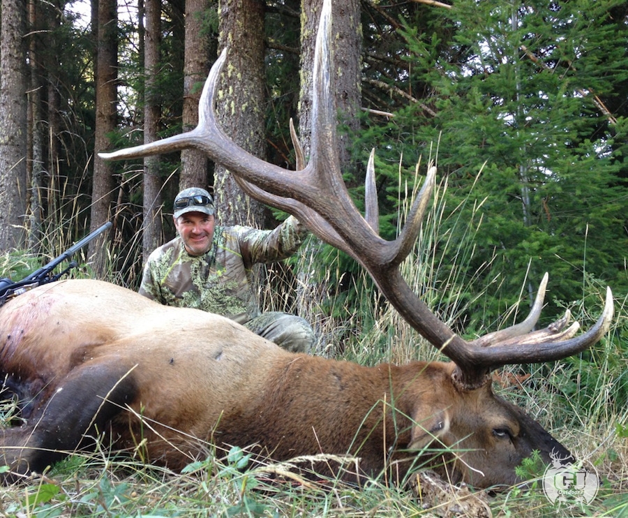 Elk Hunts