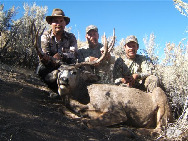 Nevada Mule Deer Hunting Guide & Outfitter | NV Mule Deer Hunts