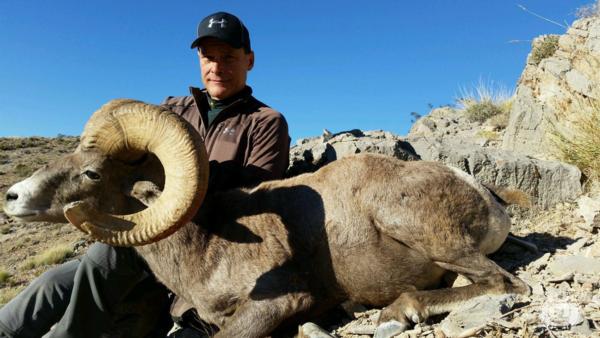 Nevada Bighorn Sheep Hunting Guide Outfitter Desert Sheep Hunts NV Nevada Bighorn Sheep Hunting Guide Outfitter Desert Sheep Hunts NV