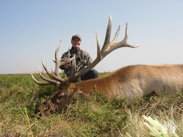 Tule Elk Hunts